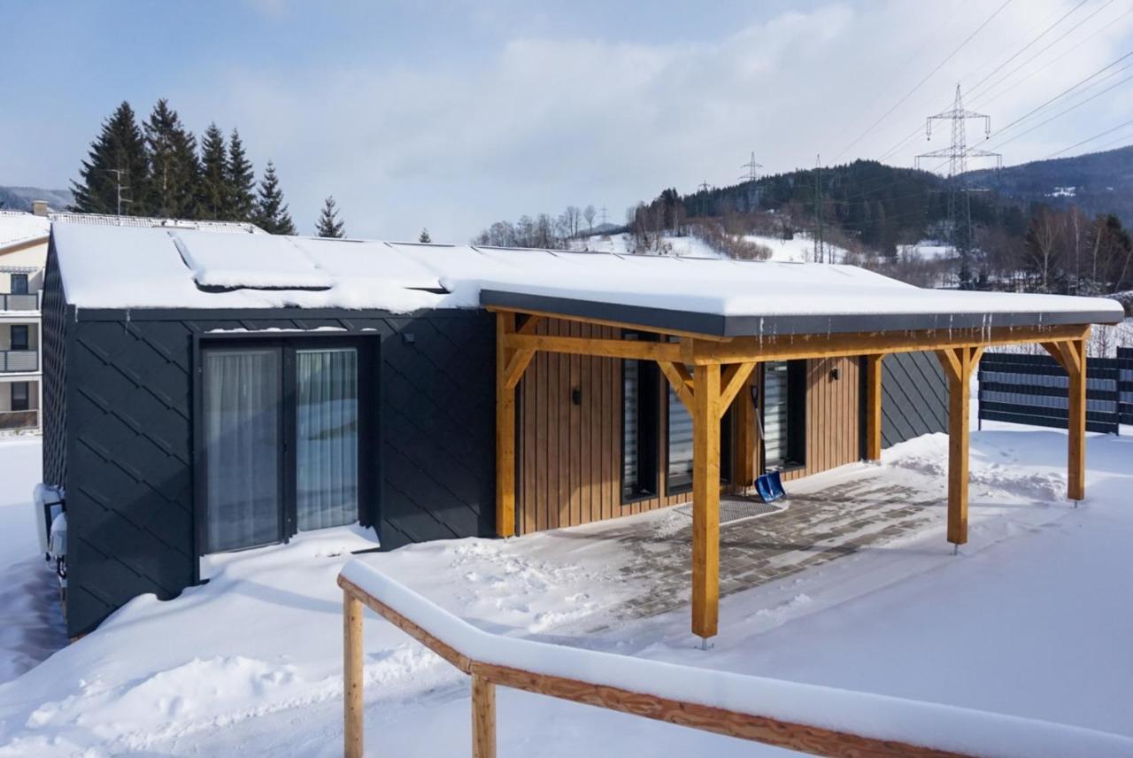 Chalet Stuhleckblick-Ferienhaus Direkt An Der Piste Und Mit Eigener Sauna Spital am Semmering Exterior photo